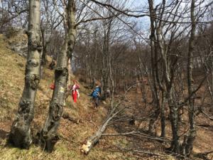 2018-04-15 13-36-16 dd