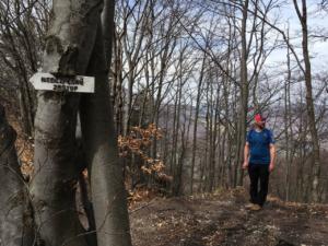 2018-04-15 13-44-51 dd