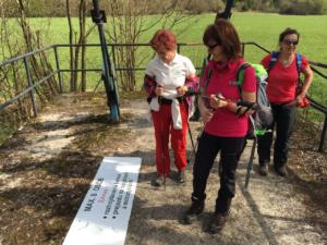 2018-04-15 15-17-35 dd