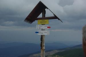 2018-08-30 13-27-52 dd