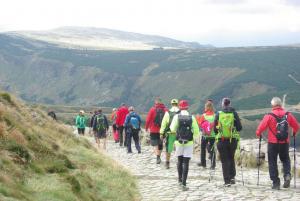 2018-08-30 13-31-44 dd