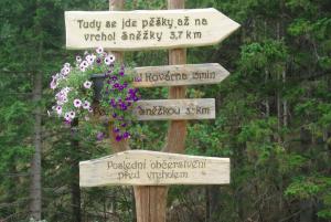 2018-08-30 14-49-52 dd