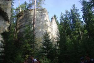 2018-08-31 09-51-51 dd