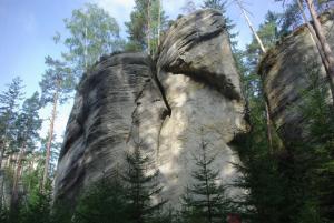 2018-08-31 09-51-53 dd