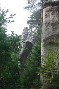 2018-08-31 09-54-54 dd