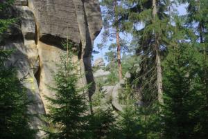 2018-08-31 10-02-52 dd