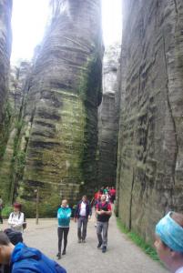 2018-08-31 10-06-08 dd