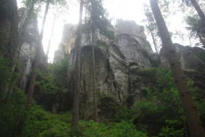 2018-08-31 10-24-21 dd