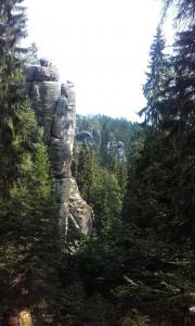 2018-08-31 10-36-30 po