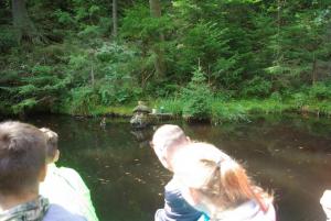 2018-08-31 11-00-43 dd