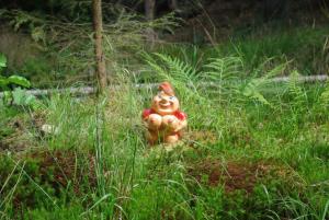 2018-08-31 11-01-53 dd