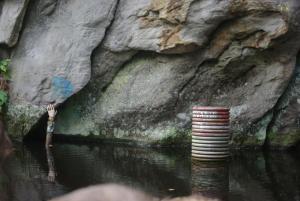 2018-08-31 11-03-29 dd