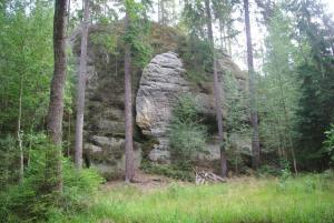 2018-08-31 11-06-05 dd