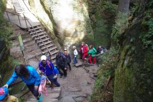 2018-08-31 11-15-19 dd