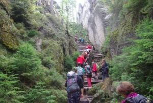 2018-08-31 11-25-19 dd