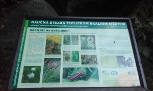 2018-08-31 11-27-13 po