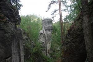 2018-08-31 11-27-55 dd