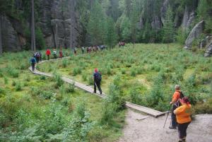 2018-08-31 11-38-28 dd