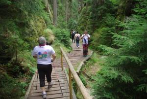 2018-08-31 11-43-58 dd