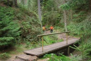 2018-08-31 11-46-37 dd