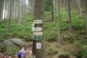 2018-08-31 12-07-08 dd