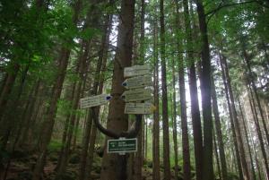 2018-08-31 12-29-11 dd