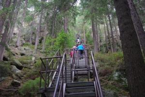 2018-08-31 12-36-46 dd