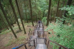 2018-08-31 12-38-54 dd