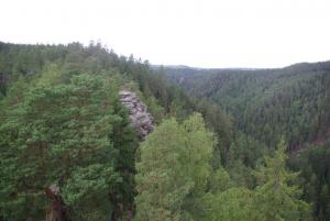 2018-08-31 12-59-08 dd