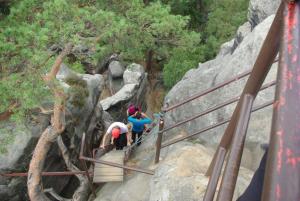 2018-08-31 13-01-13 dd