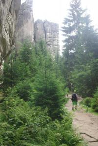 2018-08-31 13-43-39 dd