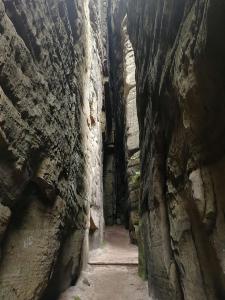 2018-08-31 13-45-56 kd